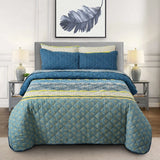 3 Pcs Quilted Comforter Set